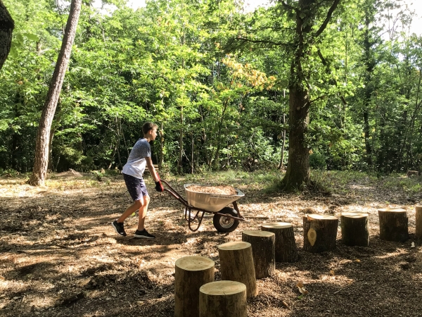 Bild01 Waldklassenzimmer